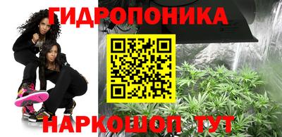 не бодяженный Северобайкальск