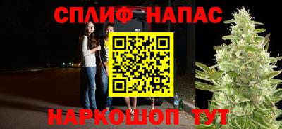 амф Севастополь
